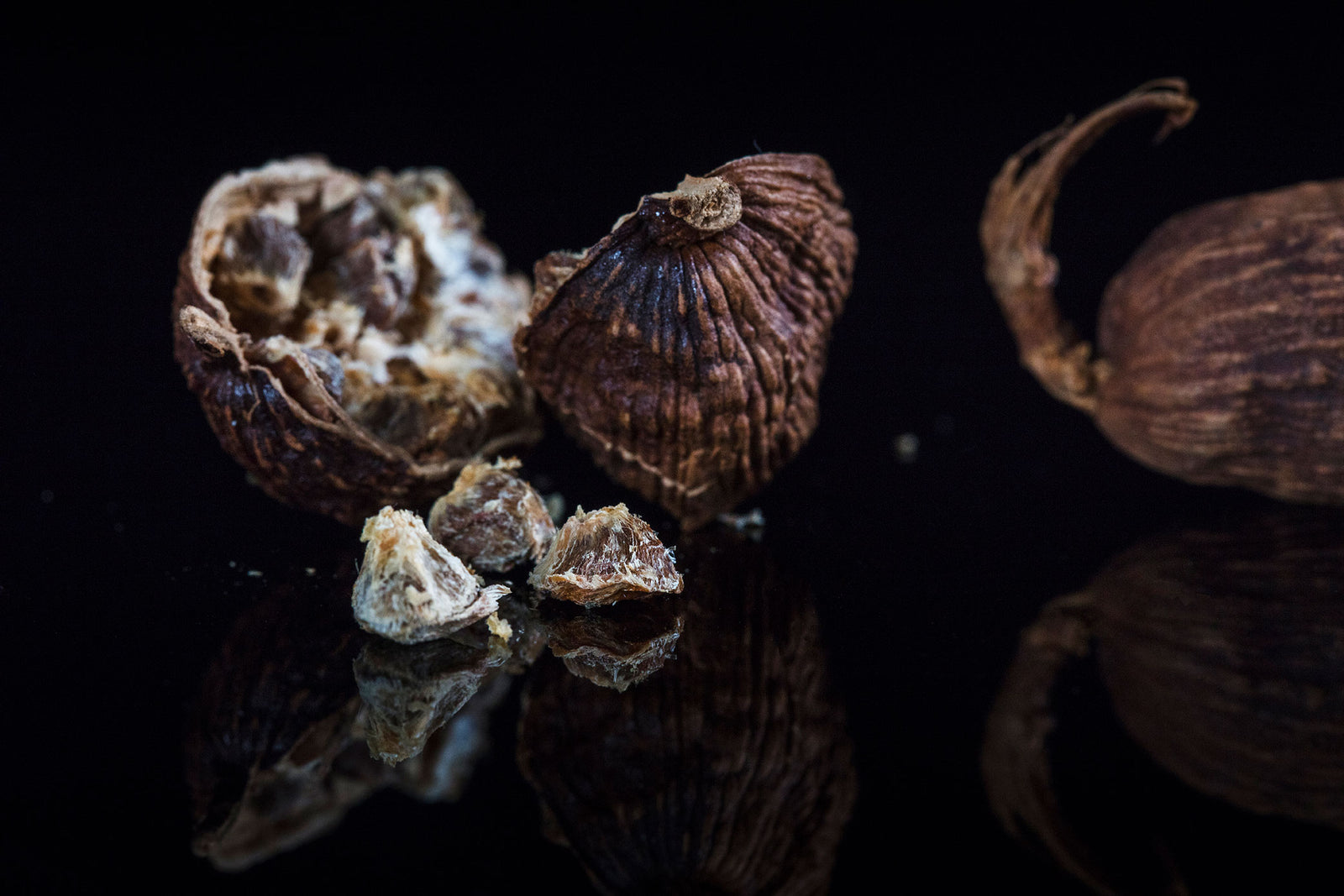 Cardamome Noire