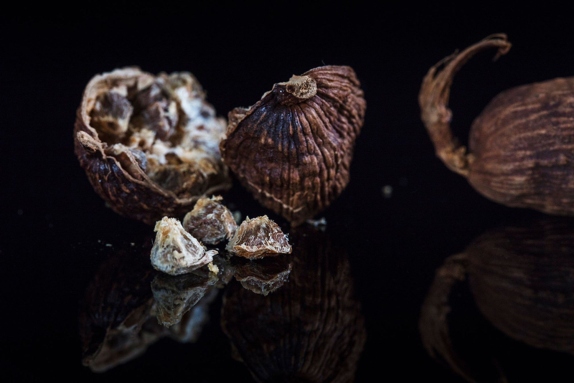 Cardamome Noire