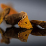 Curcuma en copeaux