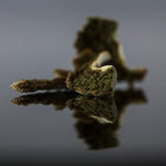 Zestes de combava