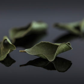 Feuilles de combava