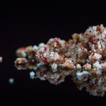 Fleur de sel à la baie rose de Madagascar