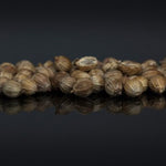 Graines de coriandre