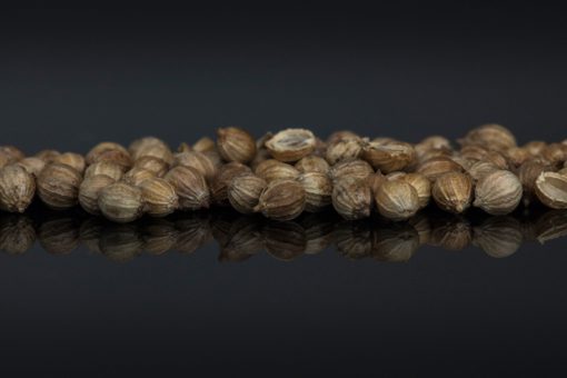Graines de coriandre