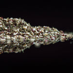 Zaatar