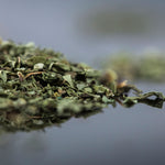 Menthe séchée
