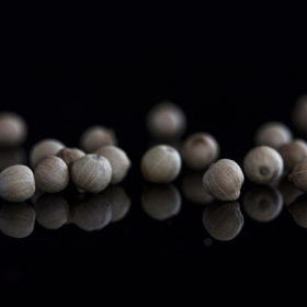 Poivre blanc de Madagascar