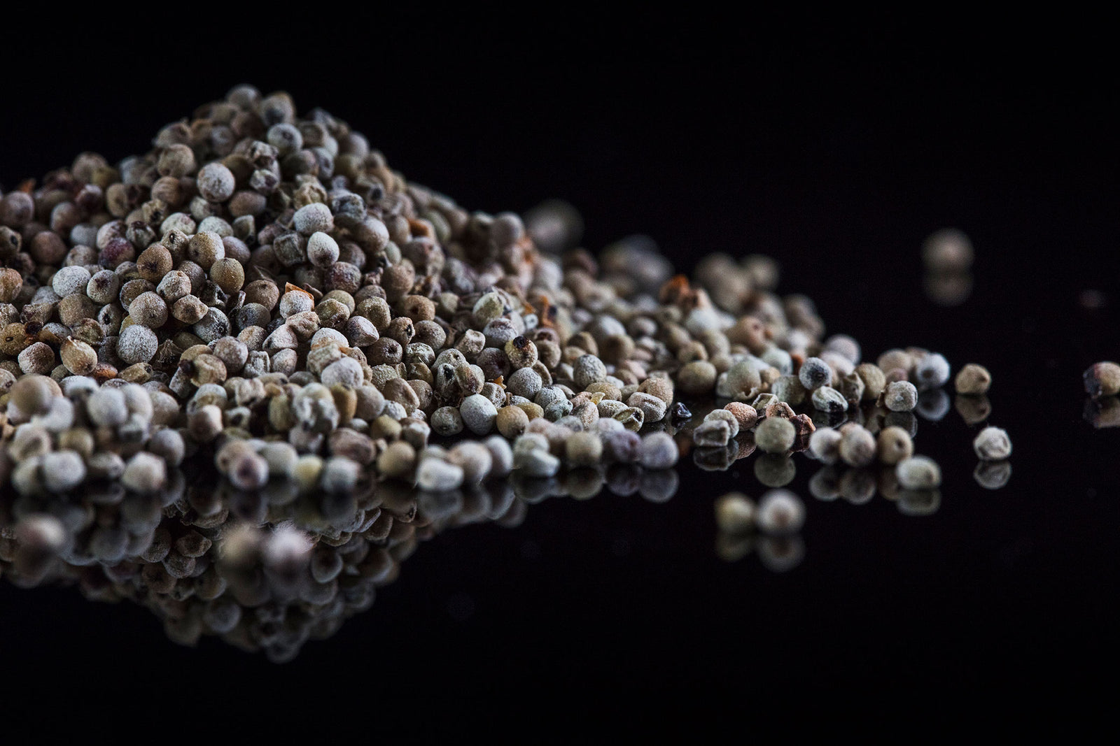 Perles de poivre long blanc de Kampot